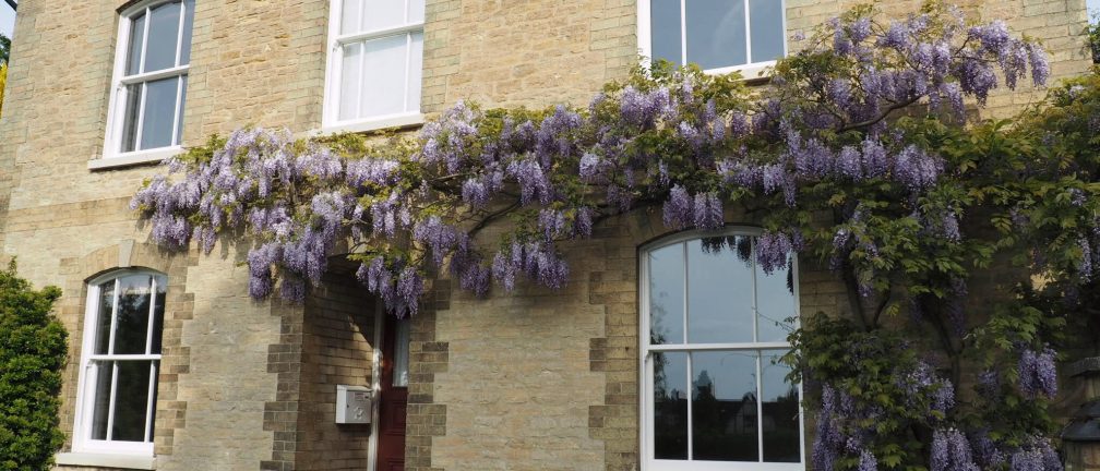 roseview sliding sash window